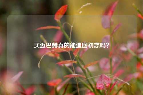 买迈巴赫真的能追回初恋吗？-第1张图片-情感百科_恋爱技巧_男女网恋_恋爱攻略_婚姻资讯_婚内出轨_情感百科之家