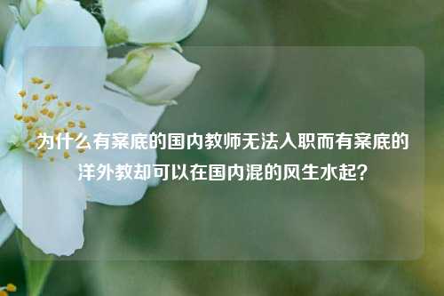 为什么有案底的国内教师无法入职而有案底的洋外教却可以在国内混的风生水起？-第1张图片-情感百科_恋爱技巧_男女网恋_恋爱攻略_婚姻资讯_婚内出轨_情感百科之家