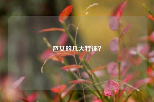 渣女的几大特征?-第1张图片-情感百科_恋爱技巧_男女网恋_恋爱攻略_婚姻资讯_婚内出轨_情感百科之家 渣女的几大特征?-第1张图片-情感百科_恋爱技巧_男女网恋_恋爱攻略_婚姻资讯_婚内出轨_情感百科之家