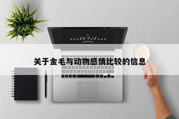 关于金毛与动物感情比较的信息