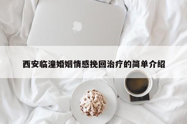 西安临潼婚姻情感挽回治疗的简单介绍