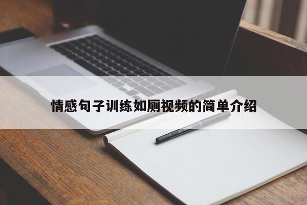 情感句子训练如厕视频的简单介绍
