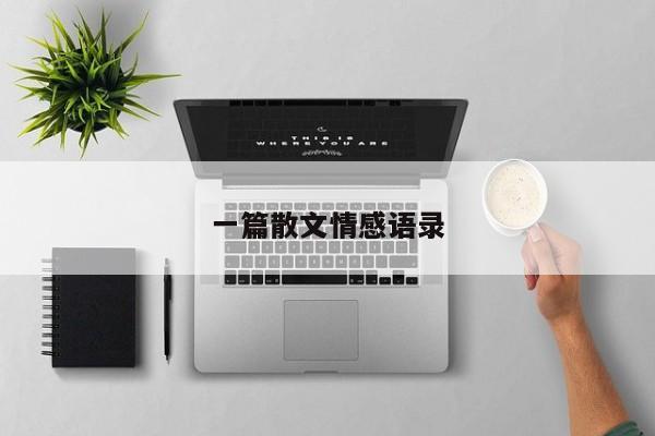 一篇散文情感语录