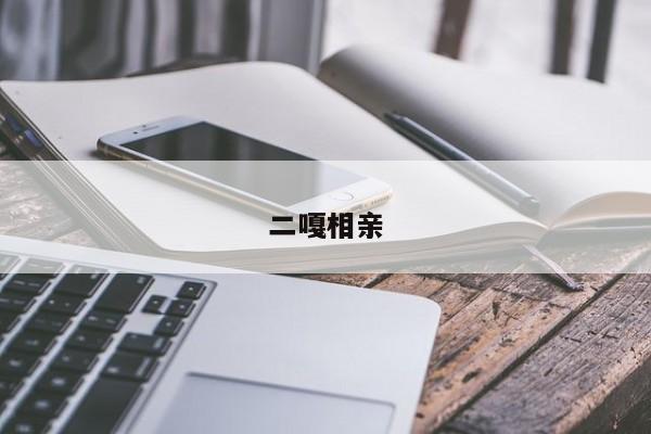 二嘎相亲
