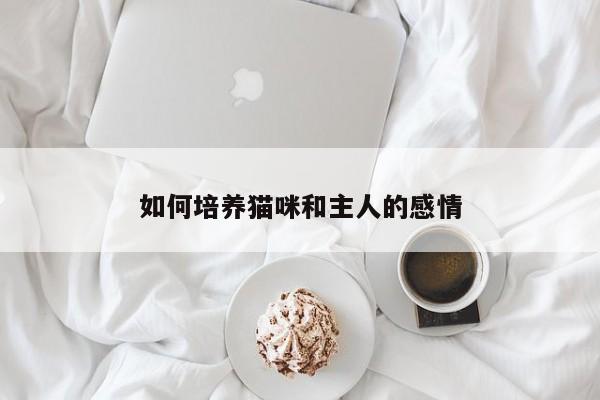 如何培养猫咪和主人的感情