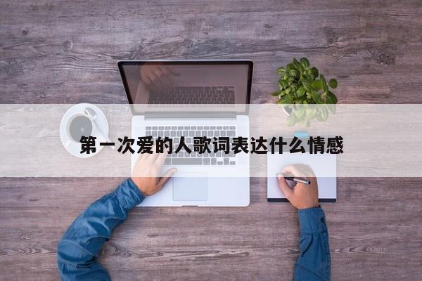 第一次爱的人歌词表达什么情感