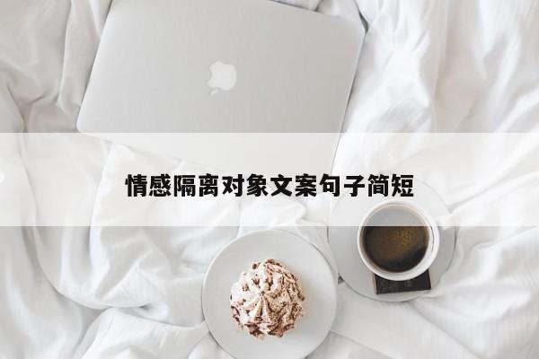 情感隔离对象文案句子简短