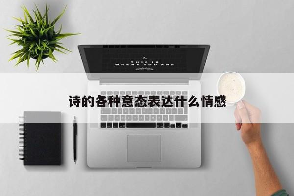 诗的各种意态表达什么情感