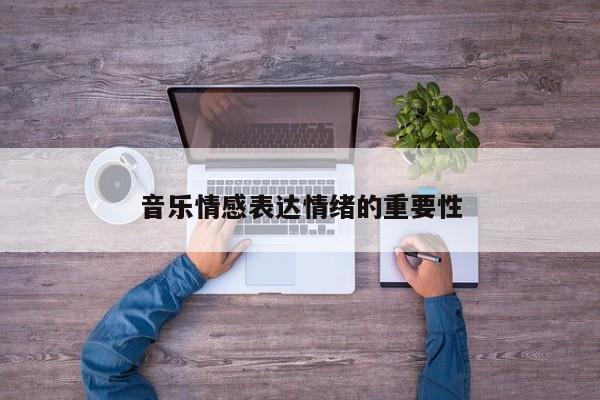 音乐情感表达情绪的重要性