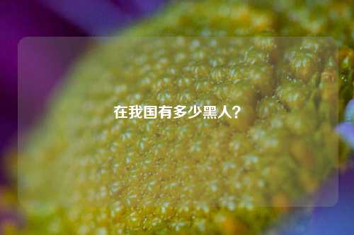 在我国有多少黑人？-第1张图片-情感百科_恋爱技巧_男女网恋_恋爱攻略_婚姻资讯_婚内出轨_情感百科之家