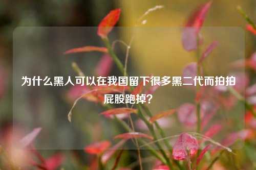 为什么黑人可以在我国留下很多黑二代而拍拍屁股跑掉？-第1张图片-情感百科_恋爱技巧_男女网恋_恋爱攻略_婚姻资讯_婚内出轨_情感百科之家