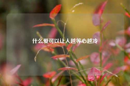 什么爱可以让人越等心越冷-第1张图片-情感百科_恋爱技巧_男女网恋_恋爱攻略_婚姻资讯_婚内出轨_情感百科之家