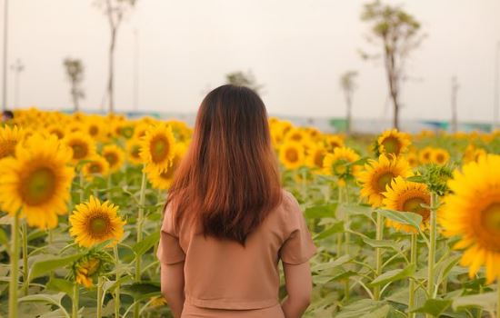 我想复合他不理我，怎样让一个人主动理你