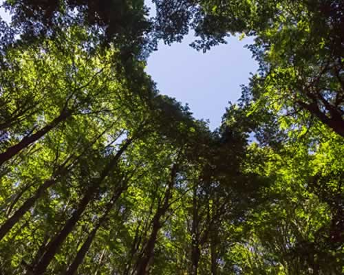 被出轨原配该怎样分离第三者和出轨男人，用这个套路原配必赢_情感