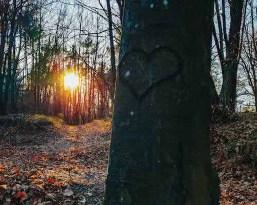 复联期间这样聊天，你的挽回才会更加顺利_情感