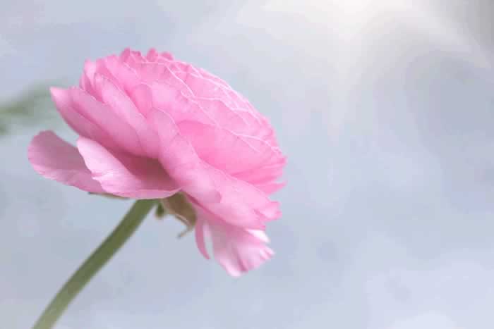 无论夫妻还是情人，以下三句话都不能随便说，很容易缘尽_情感