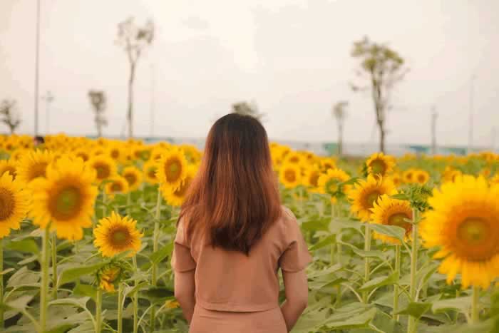 男人抢着娶回家的女人，大多有一些过人之处_情感