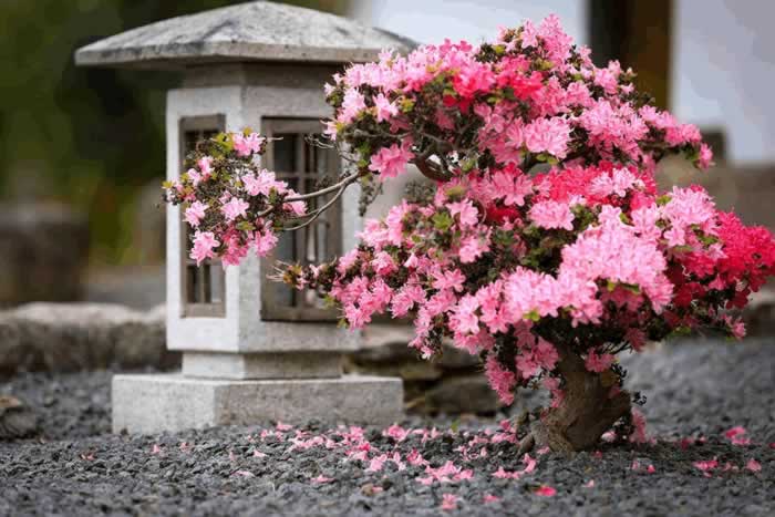 一个女人真正死心的表现：不哭不闹，不闻不问_情感