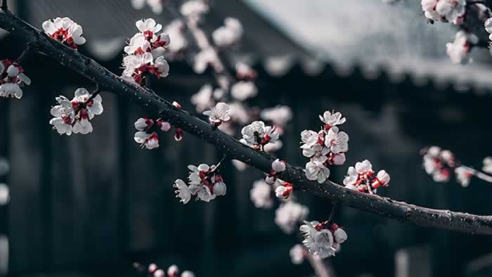 如何挽回老婆的心绝招，三个方法取得成功挽回老婆的心_情感