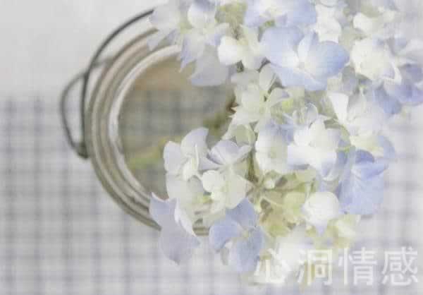 夫妻之间经常吵架怎么和好？和老公吵架后该怎么办_情感