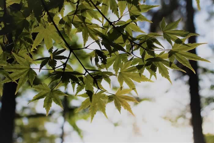 明知道会伤害婚姻，他为什么还会背叛？有三个真相你该看见了_情感
