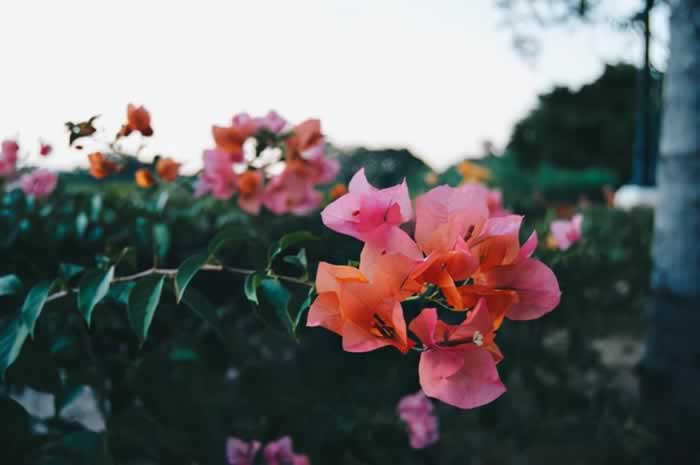 被背叛后，你要学会一种人生“智慧”，接受过去，让过去成为过去_情感