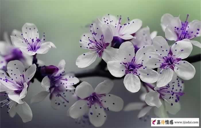 中年夫妻分床睡好几年了还有感情吗 婚姻已成为亲情了_情感