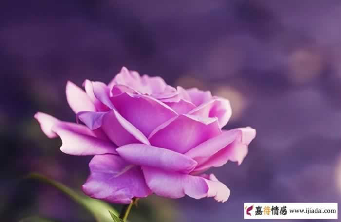 无性婚姻男人的想法，无性婚姻能长久吗？_情感