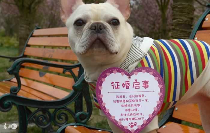 发个朋友圈也能撩人？看看挽回大师怎么指导朋友圈建设_情感