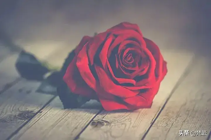 我的爱情，是需要“植入”正确的婚恋观_情感