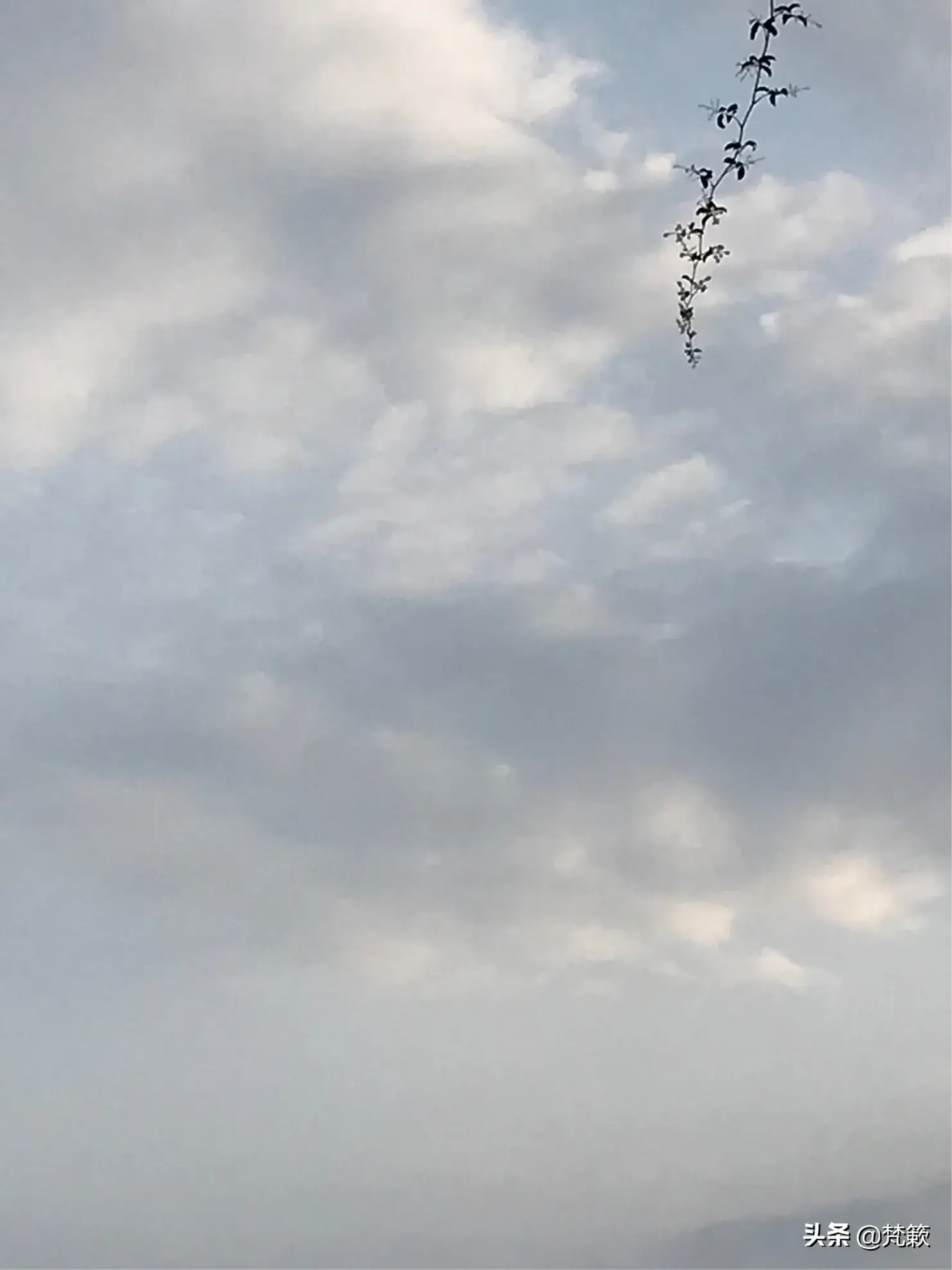 我的爱情，是需要“植入”正确的婚恋观_情感