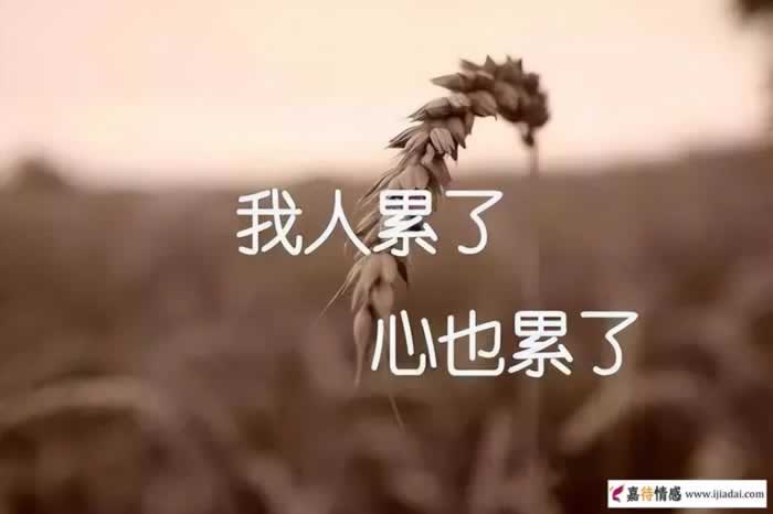 小三各方面不如原配，为什么男人还会出轨？仅仅是因为新鲜感！_情感