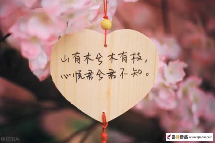 解读爱情：最常见的几种情感误区_情感