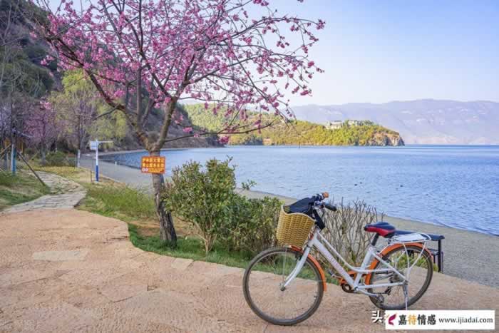 遭遇枕边人无情背叛后，陷入两难无法抉择？先想清楚这三个问题_情感