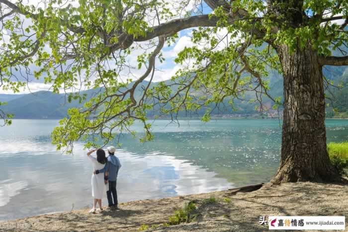 有种“太爱管闲事”的婆婆，到儿子家后还独揽大权？认知背后现实_情感