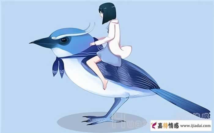 妻子出轨了男人的正确做法_情感