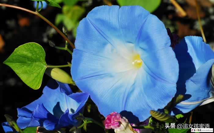 老婆太物质了还有挽回的必要吗？告诉你答案！_情感
