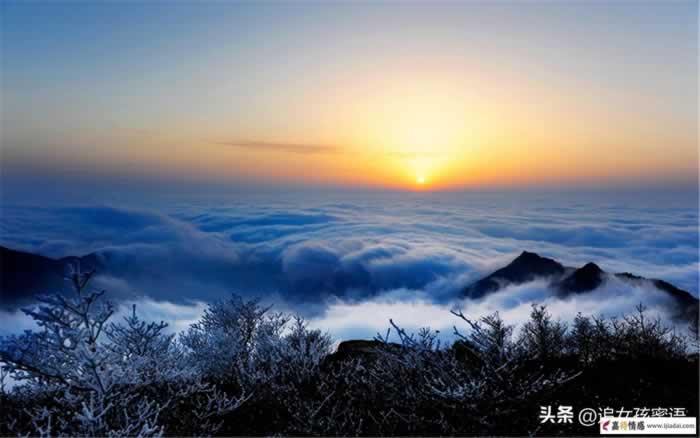年龄差的爱情挽回,跨过了是幸福,错过了是遗憾_情感