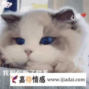 女同分手应该怎样挽回？_情感