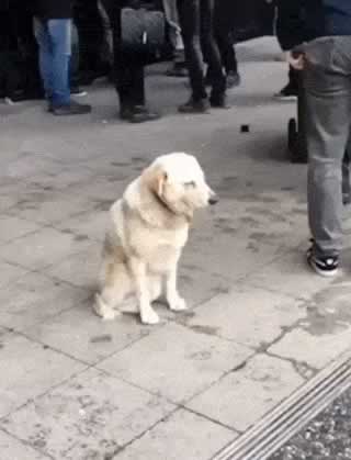 分手求复合，前男友说“不知道喜欢什么样的女生”？_情感