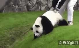 分手求复合，前男友说“不知道喜欢什么样的女生”？_情感