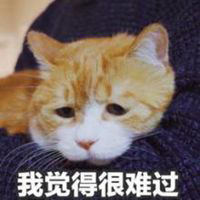 一段时间没和女生聊 怎么开场才不会生疏？_情感