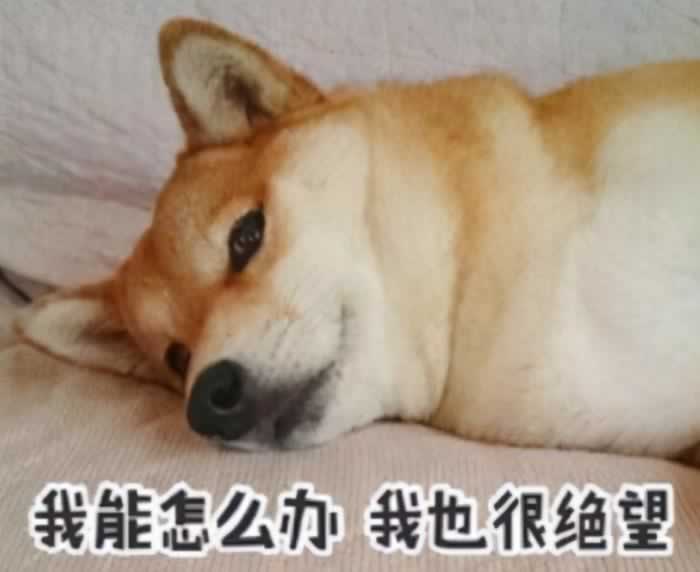 频繁给刚认识的女生发信息，结局只有1个_情感