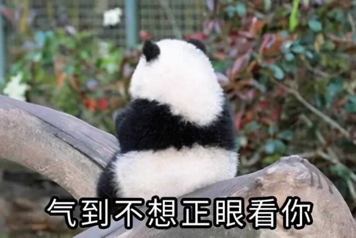 频繁给刚认识的女生发信息，结局只有1个_情感