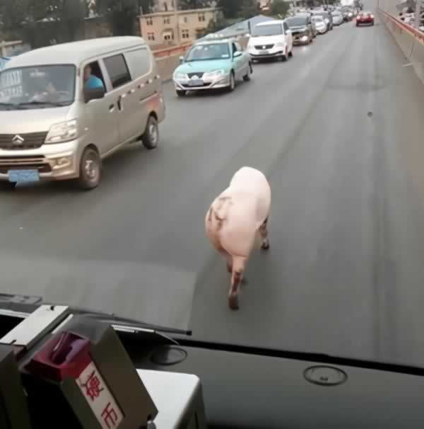 10个压箱底的撩妹套路，撩完之后，她会对你又爱又恨_情感