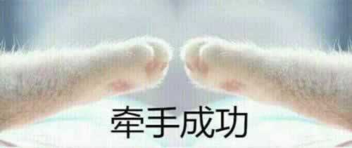 关于女人不能说的秘密神回复大全_情感