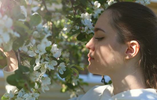 我怀孕了，母亲坚决不同意怎么办？