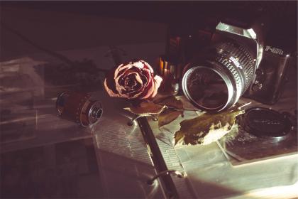 flower.jpg
