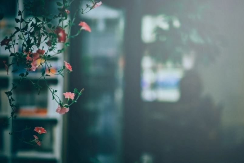 男生or女生冷暴力分手者会回头吗