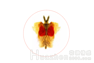 罗夏墨迹测试：挖掘你潜意识里的自己